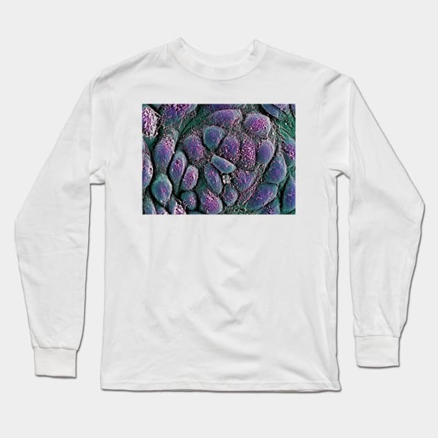 Embryonic stem cells, SEM (G442/0236) Long Sleeve T-Shirt by SciencePhoto